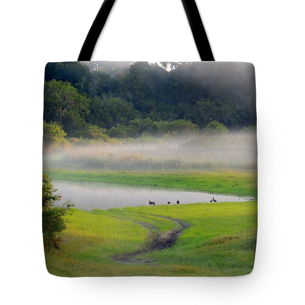 Lake Tote Bag featuring the photograph Trees in the Mist #1 by Patricia Twardzik