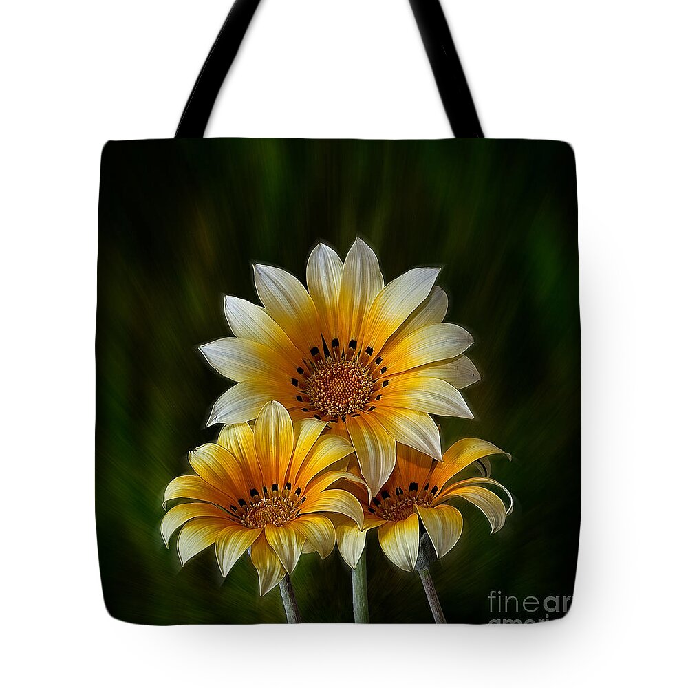 Peruvian Daisy Tote Bag featuring the photograph Triple Sunshine #1 by Shirley Mangini