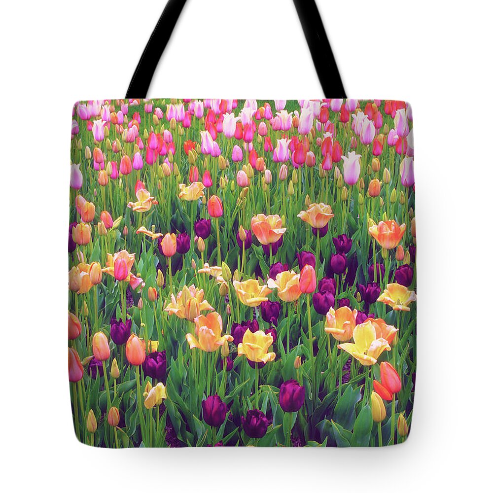 Flowers Tote Bag featuring the photograph Tulip Field by Jessica Jenney