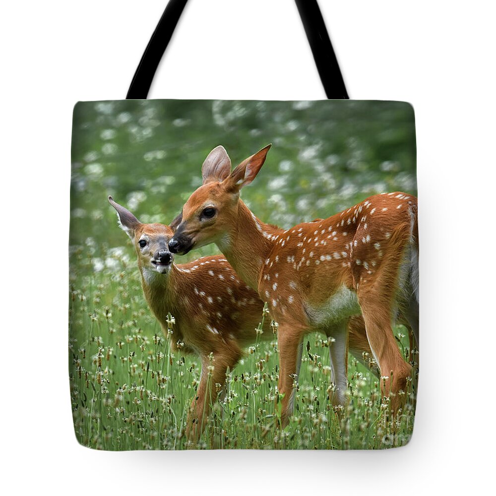 Twins Tote Bag featuring the photograph Twins by Amy Porter