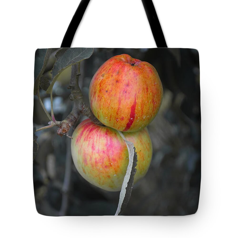 Michelle Meenawong Tote Bag featuring the photograph Two Of A Kind #3 by Michelle Meenawong