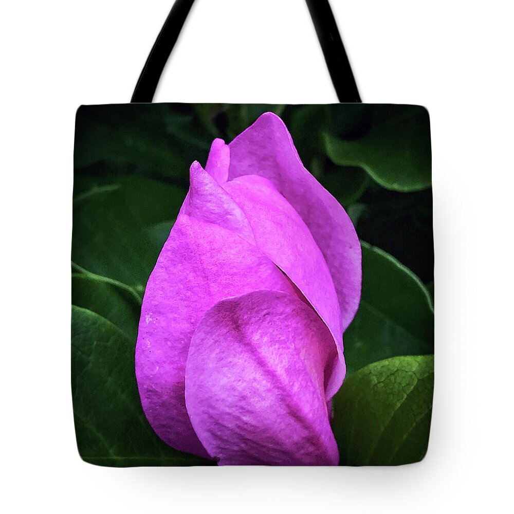 Magnolia Tote Bag featuring the photograph Unfolding #2 by Jill Love
