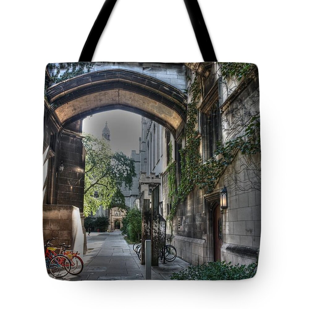 University Of Chicago Tote Bag featuring the photograph University of Chicago #2 by David Bearden