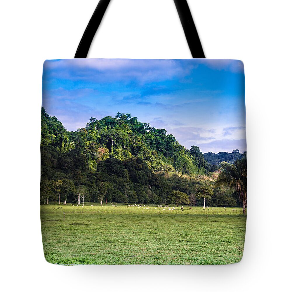 Landscape Tote Bag featuring the photograph Untitled #1 by Lindsey Weimer