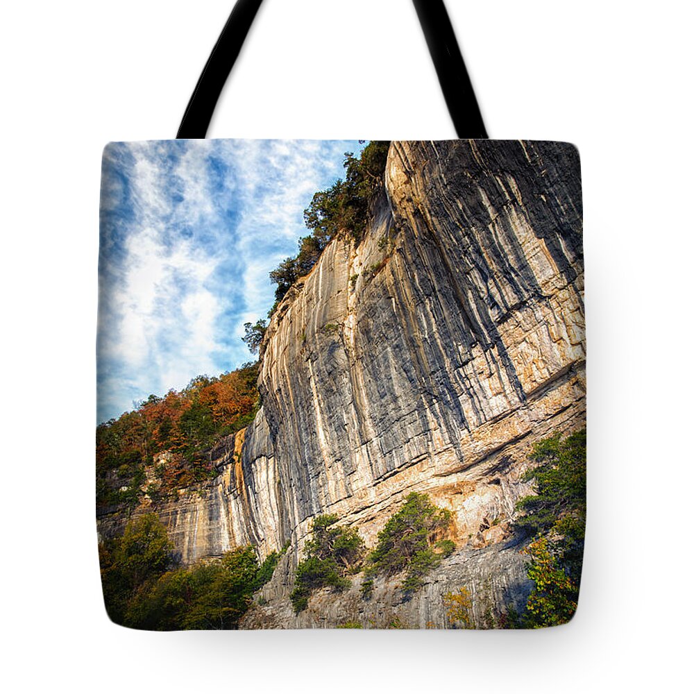 Roarks Bluff Tote Bag featuring the photograph Vertical #1 by James Barber