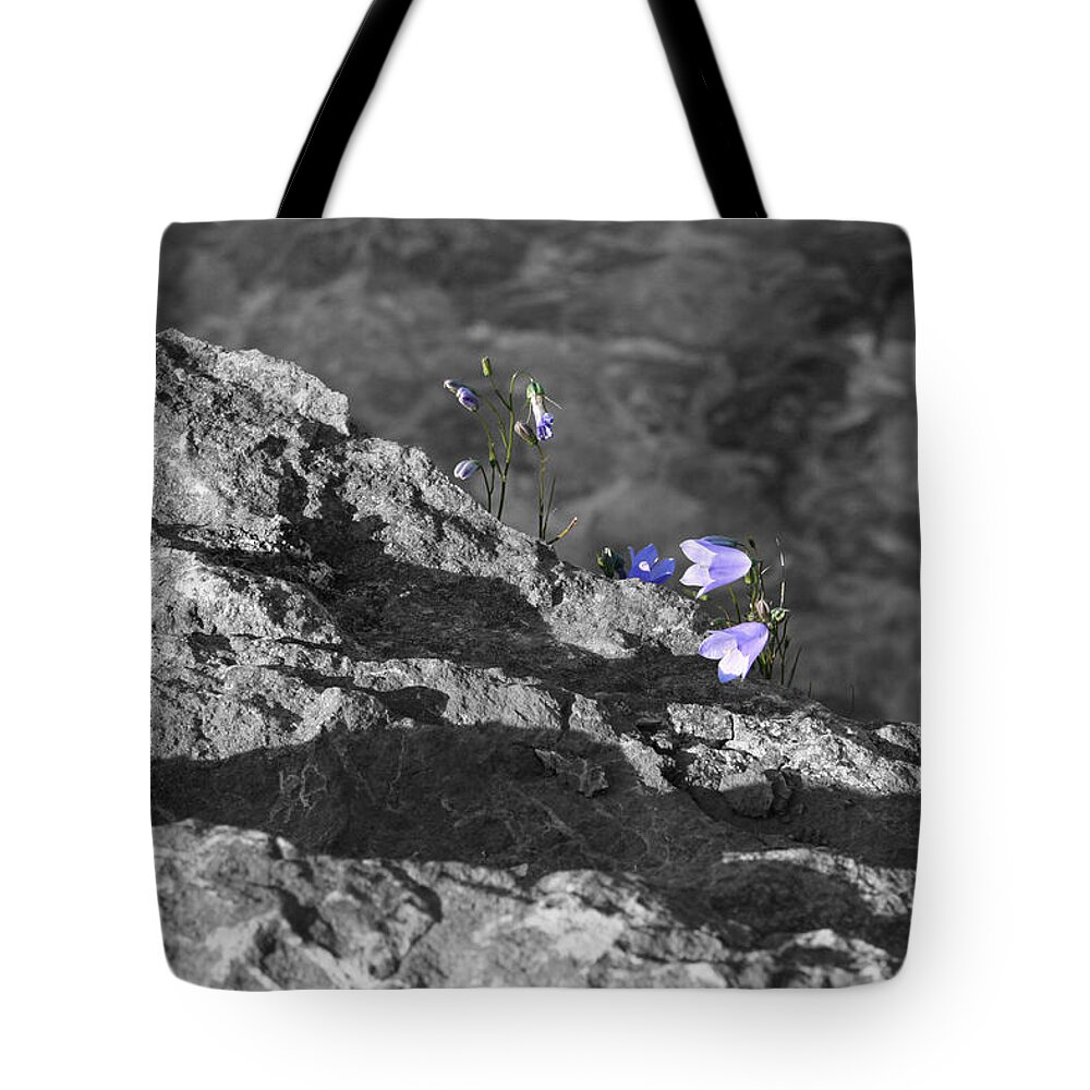 Desaturation Tote Bag featuring the photograph Violescence by Dylan Punke