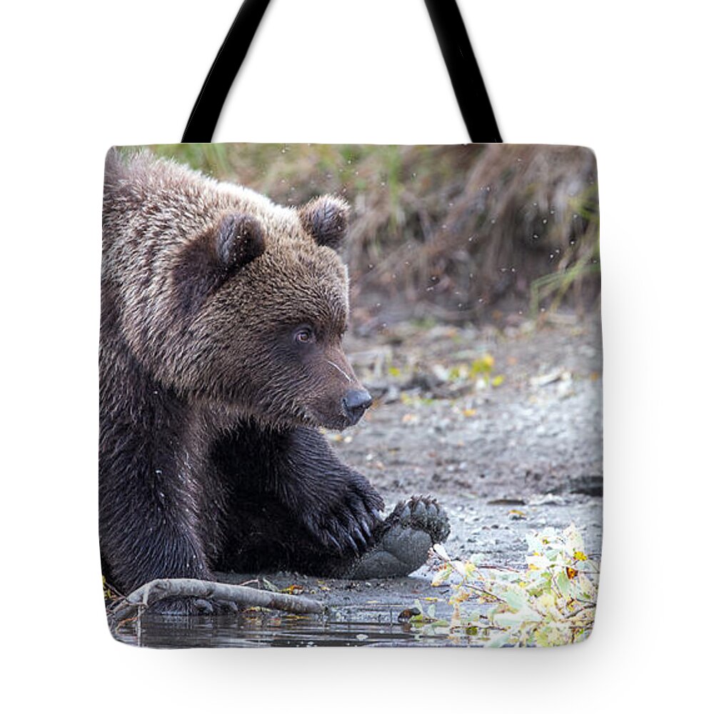 2015 Tote Bag featuring the photograph Waiting #1 by Kevin Dietrich