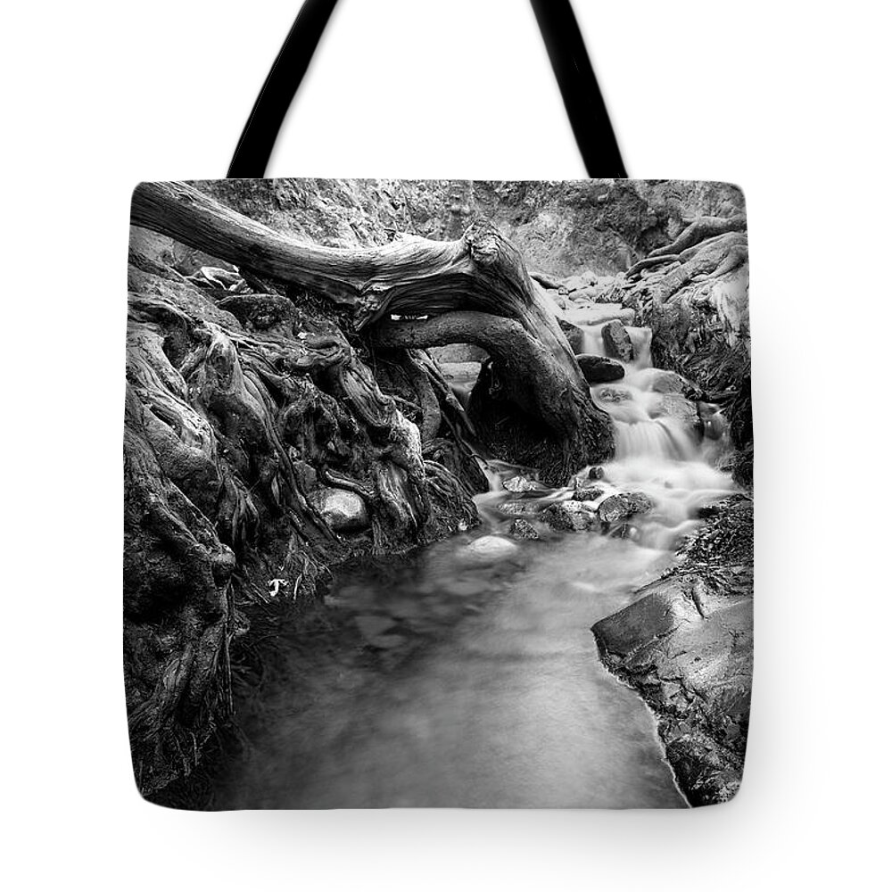 Cascade Tote Bag featuring the photograph Water flowing through tree roots #2 by Michalakis Ppalis