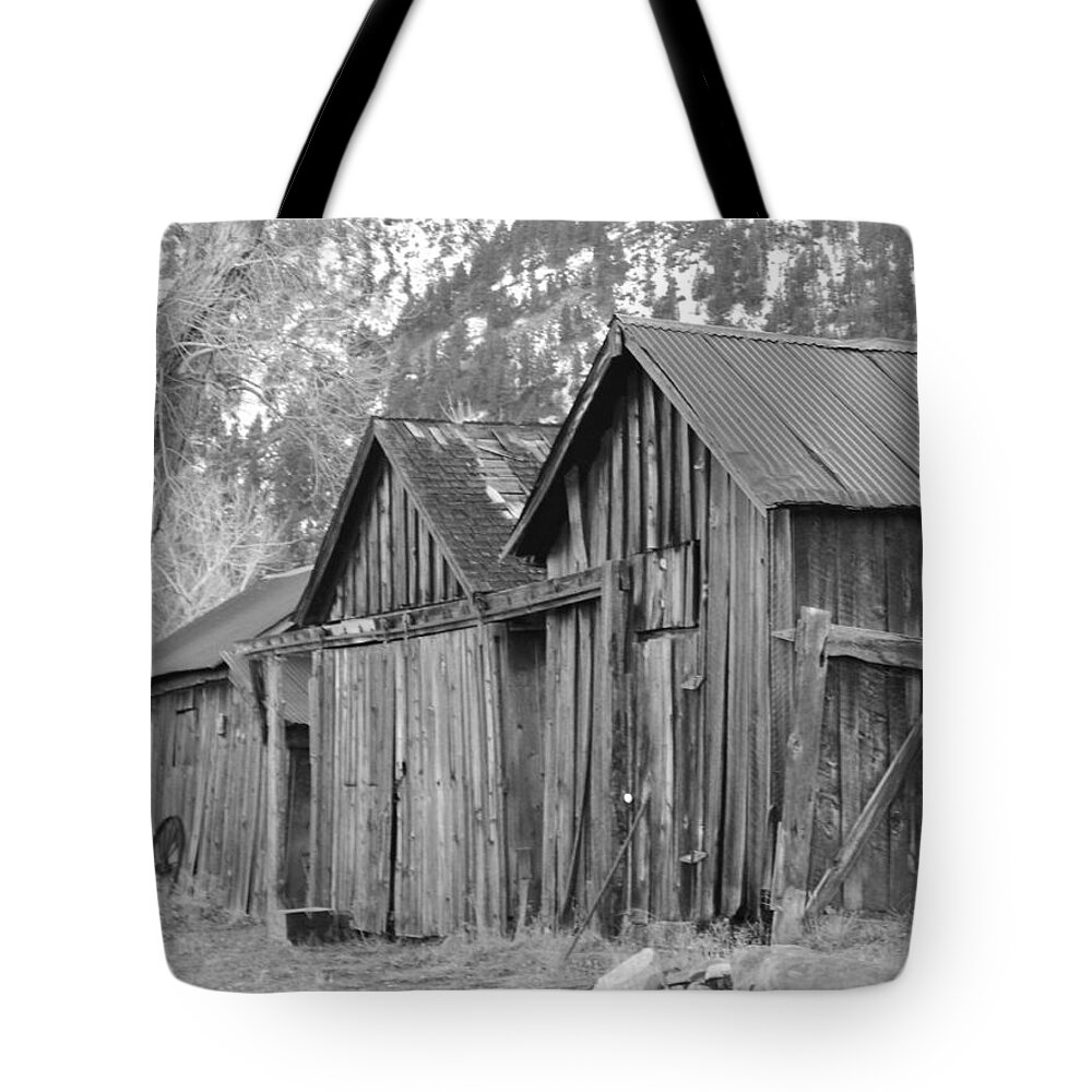 Trees Tote Bag featuring the photograph Weathered Wood #1 by Marilyn Diaz
