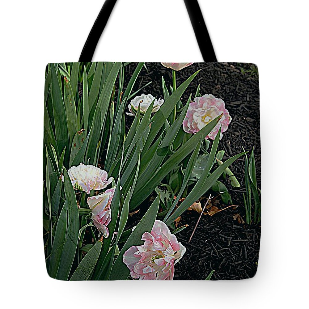 Photography Tote Bag featuring the photograph We're over Here #1 by Nancy Kane Chapman