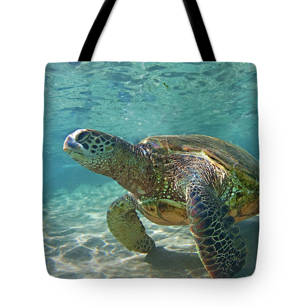 Maui Hawaii Black Rock Turtle Ocean Creatures Tote Bag featuring the photograph What Are You Lookin At #1 by James Roemmling