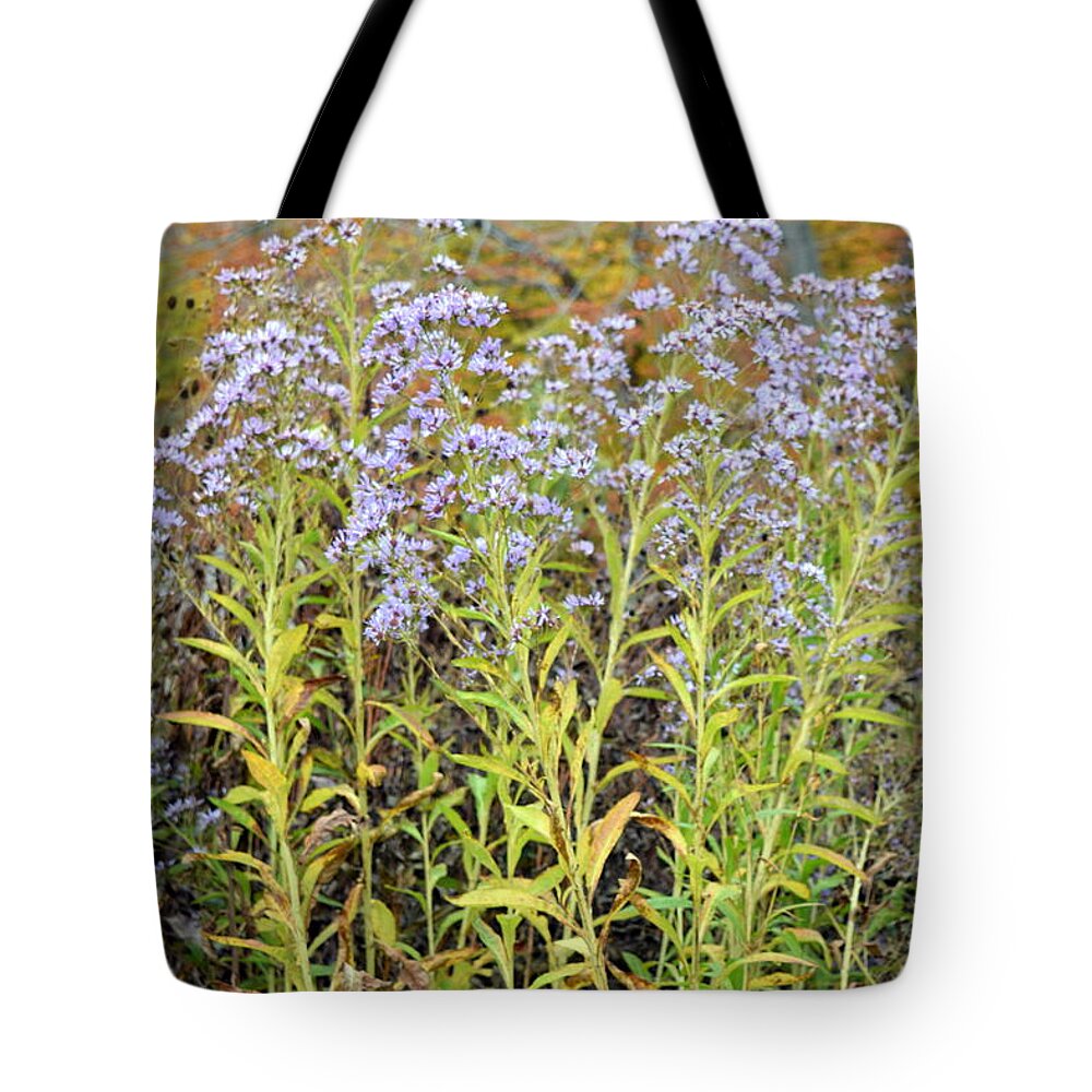 Flower Tote Bag featuring the photograph Whimsy #1 by Deborah Crew-Johnson