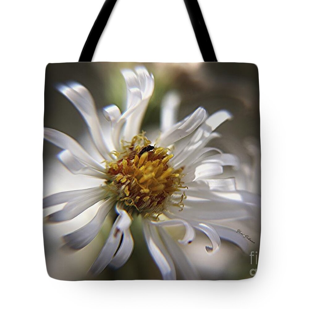Flowers Tote Bag featuring the photograph Wild Aster #1 by Yumi Johnson