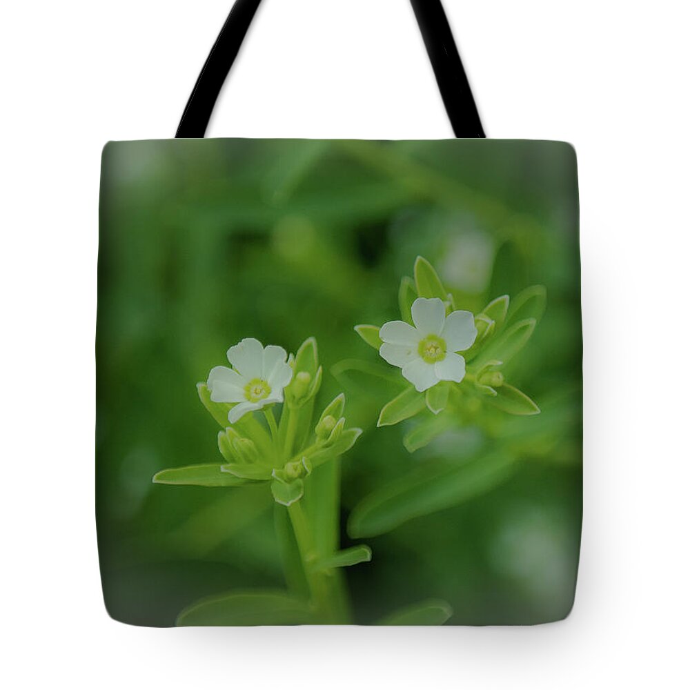 Flowers Tote Bag featuring the photograph Wild Flowers #1 by Henri Irizarri