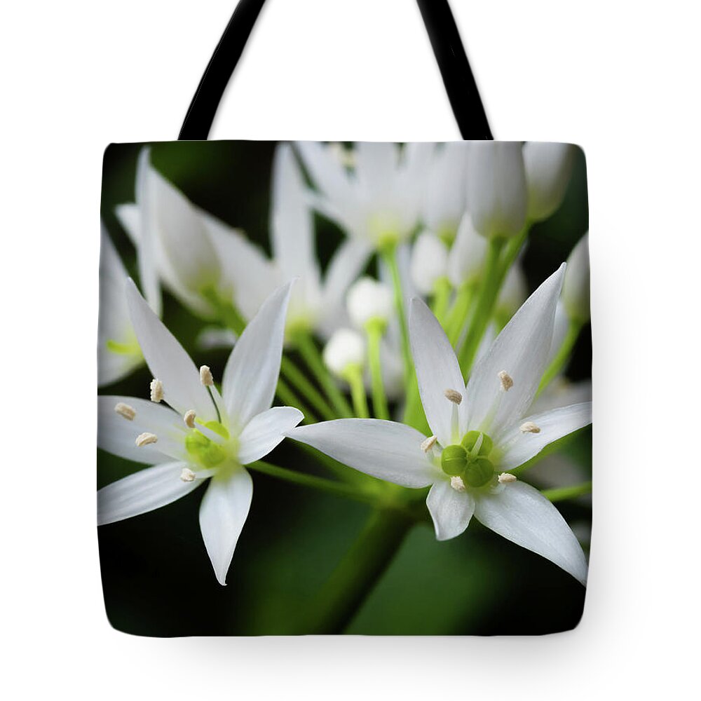 Wild Garlic Tote Bag featuring the photograph Wild Garlic by Nick Bywater