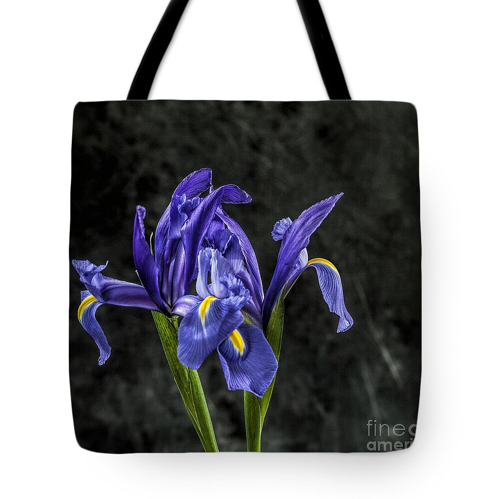 Iris Tote Bag featuring the photograph Wild Iris #2 by Shirley Mangini