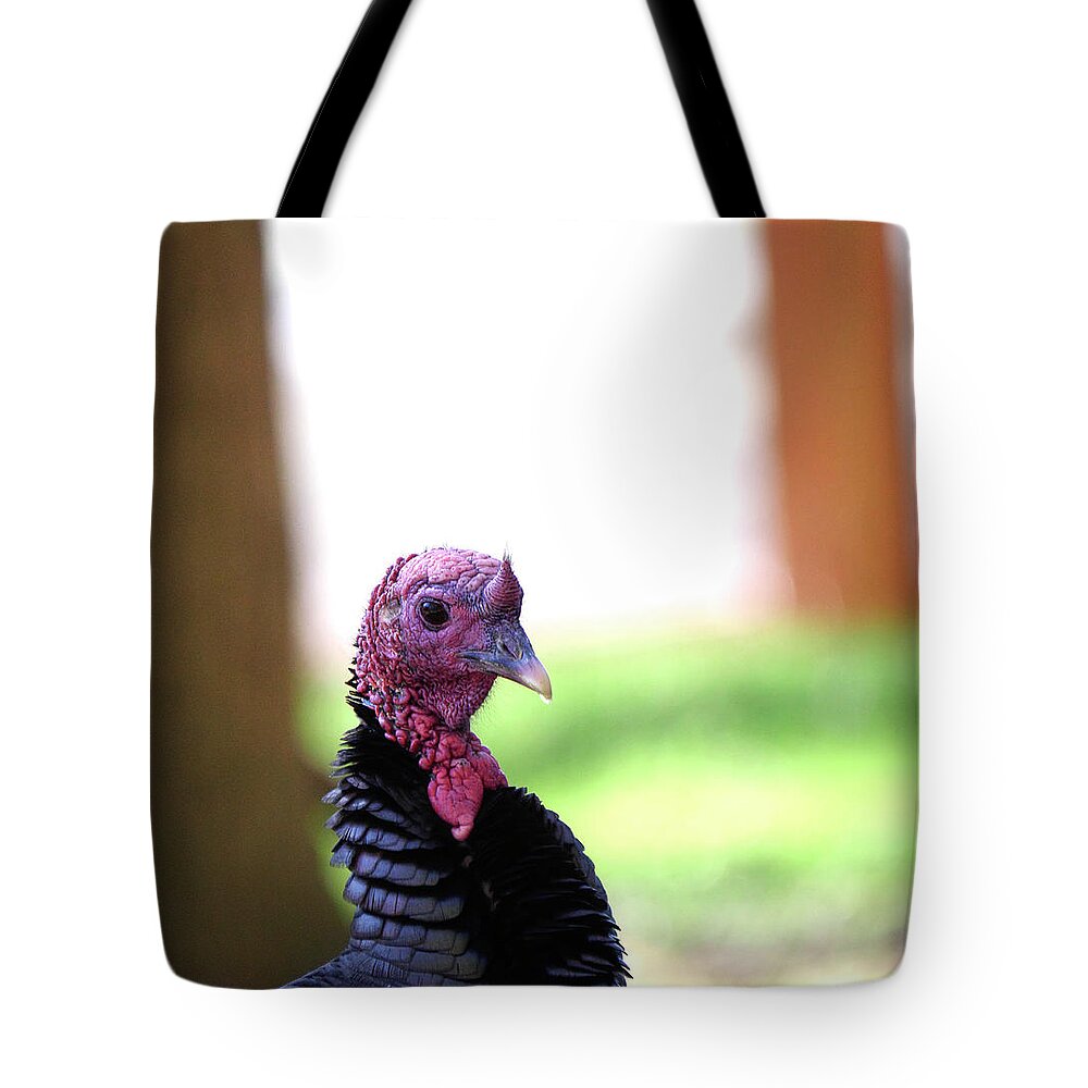 Birds Tote Bag featuring the photograph Wild Turkey Up Close #1 by Paul Ross