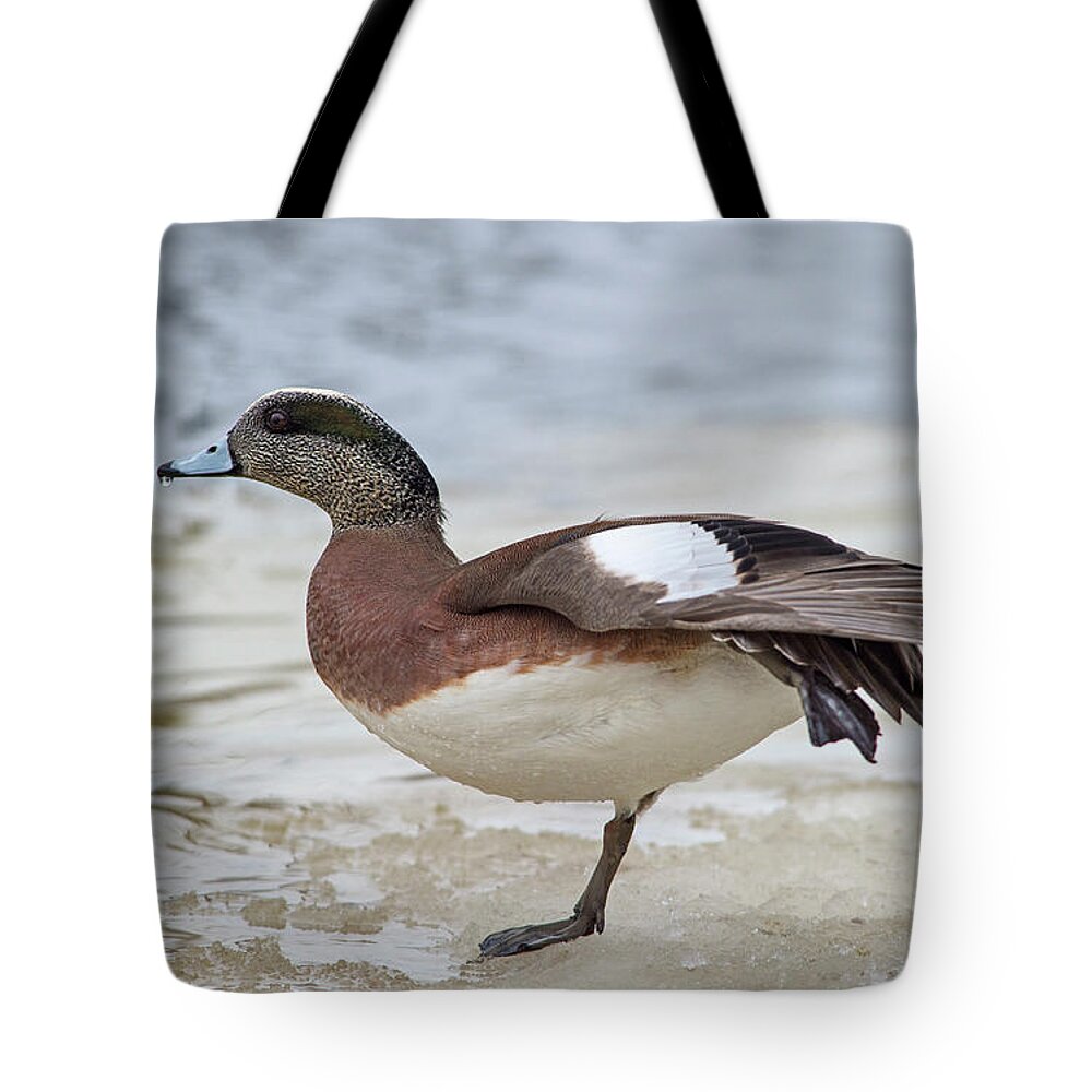 Nina Stavlund Tote Bag featuring the photograph Wing Stretch.. #2 by Nina Stavlund