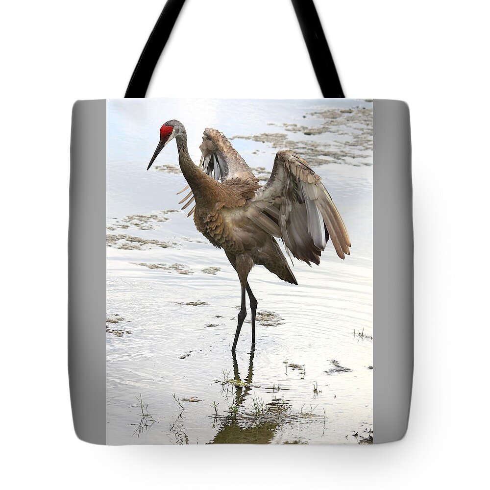 Sandhill Crane Tote Bag featuring the photograph Winging It by Carol Groenen