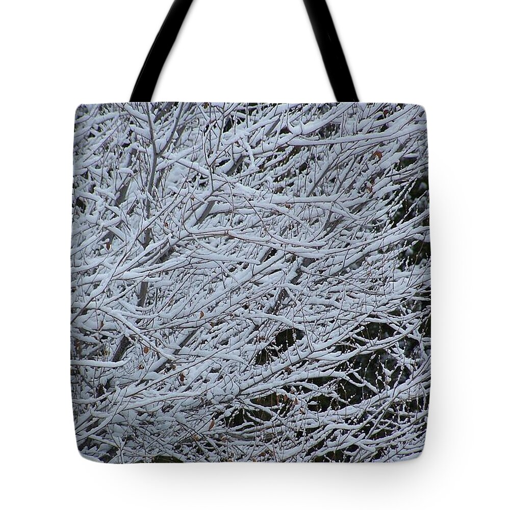 Winter Tote Bag featuring the photograph Winter at dusk by Pamela Walrath