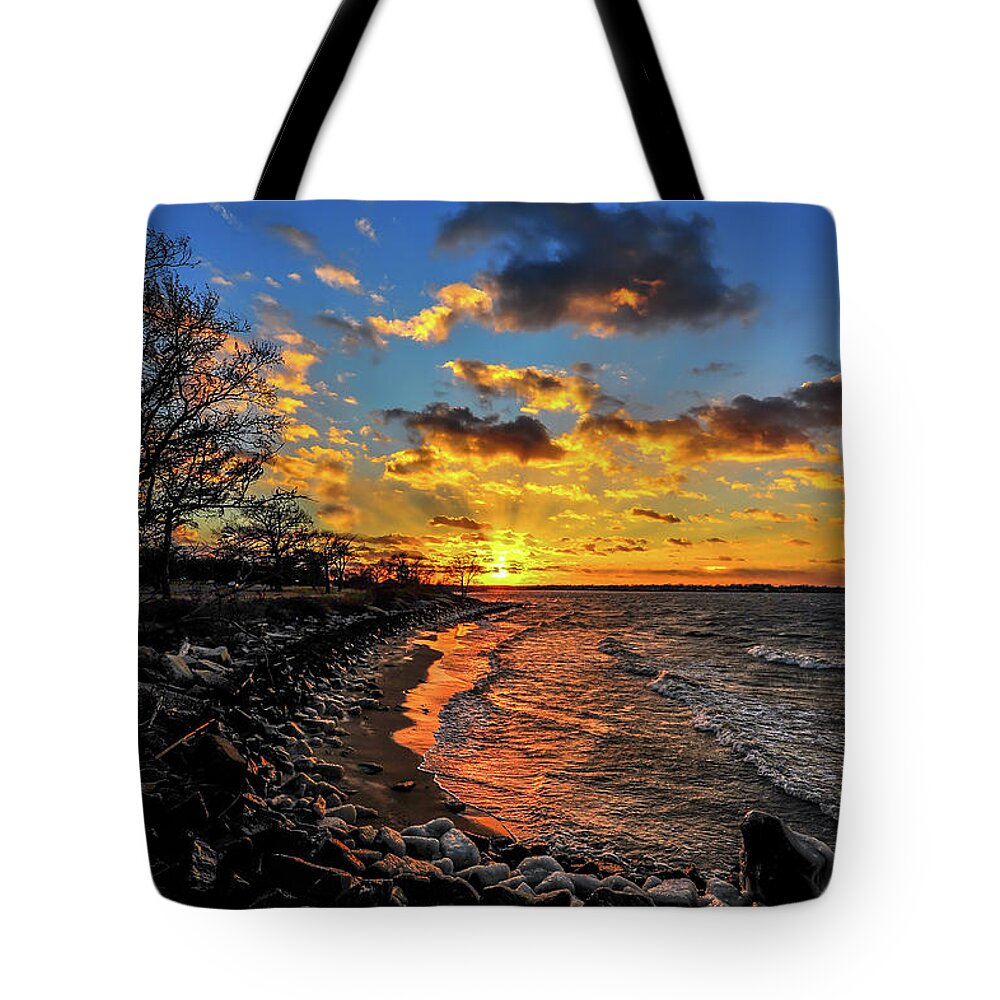 Landscape Tote Bag featuring the photograph Winter sunset on a Chesapeake Bay beach #1 by Patrick Wolf