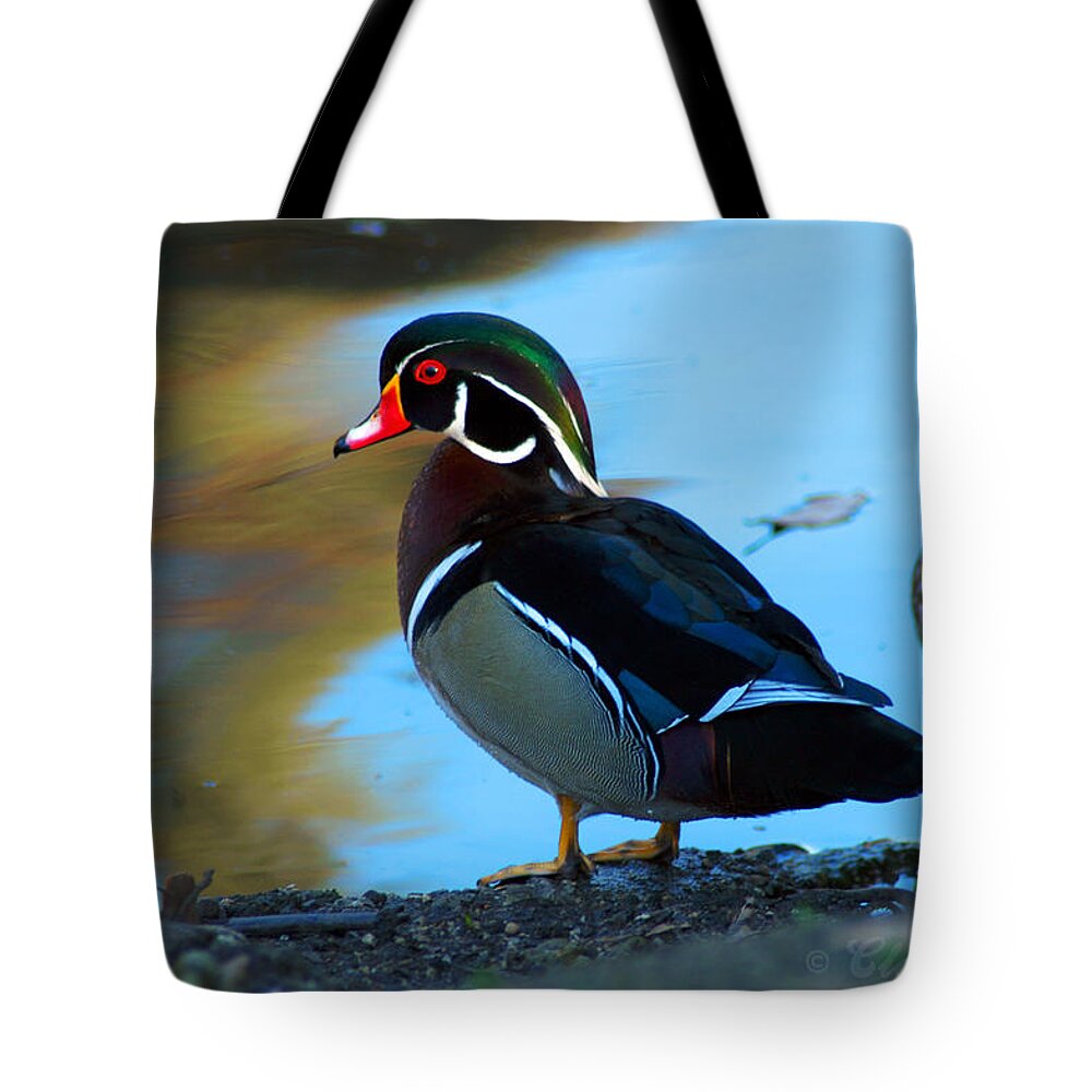 Clay Tote Bag featuring the photograph Wood Duck #1 by Clayton Bruster