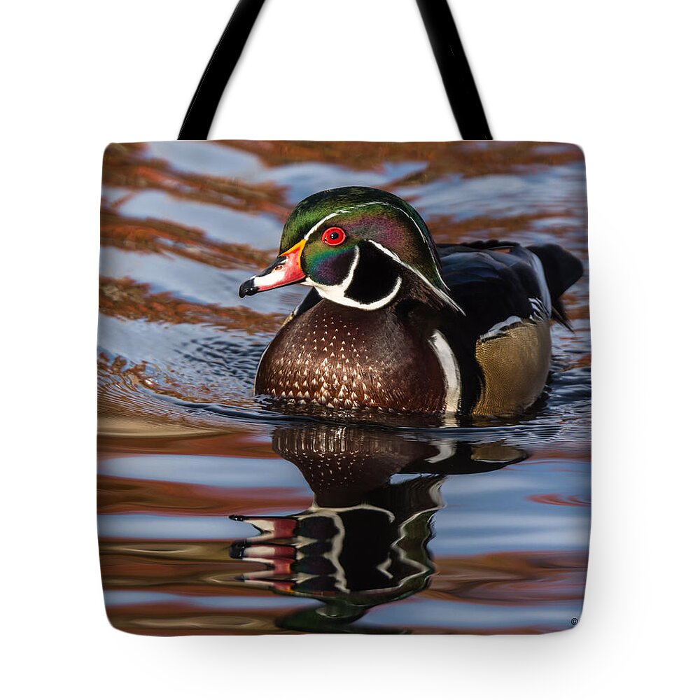 Wood Duck Tote Bag featuring the photograph Wood Duck Reflections #2 by Stephen Johnson