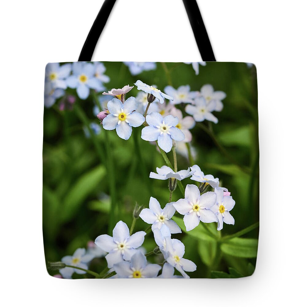 Finland Tote Bag featuring the photograph Wood forget me not #1 by Jouko Lehto