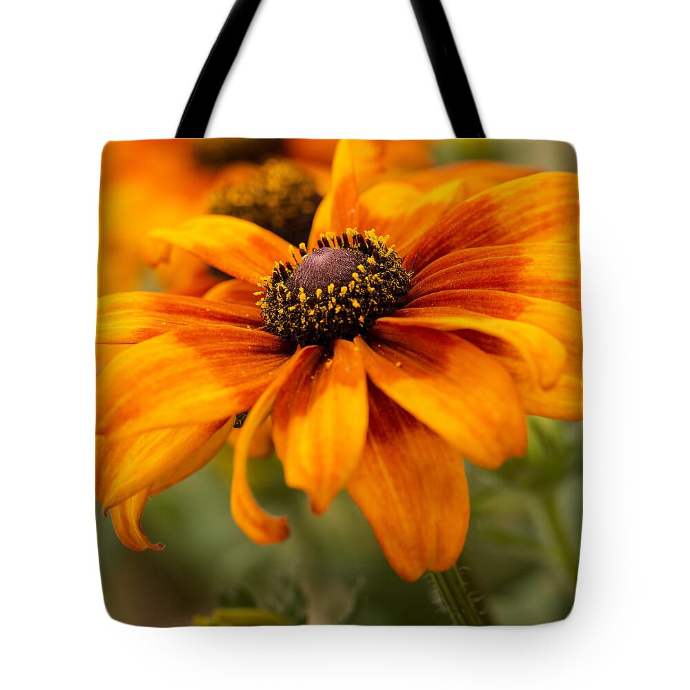 Orange Tote Bag featuring the photograph Yellow And Orange Petals #2 by Mary Jo Allen