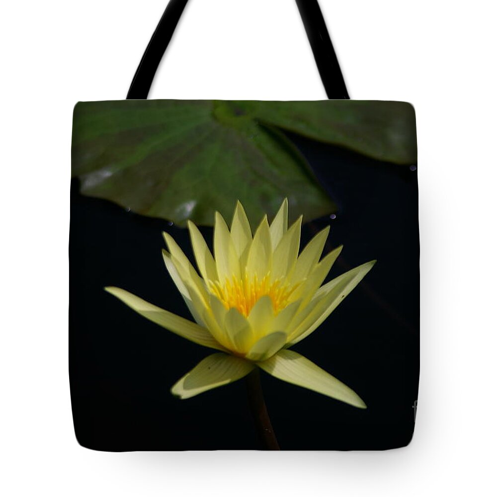 Yellow Tote Bag featuring the photograph Yellow Lotus Waterlily #2 by Jackie Irwin