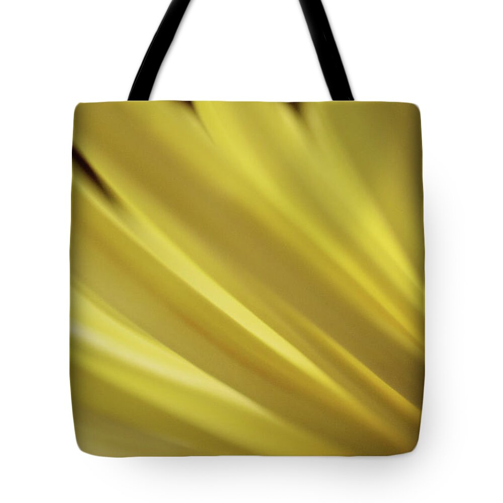 Photograph Tote Bag featuring the photograph Yellow Mum Petals #14 by Larah McElroy