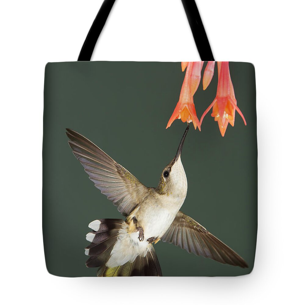 Nature Tote Bag featuring the photograph Yummy #1 by Gerry Sibell