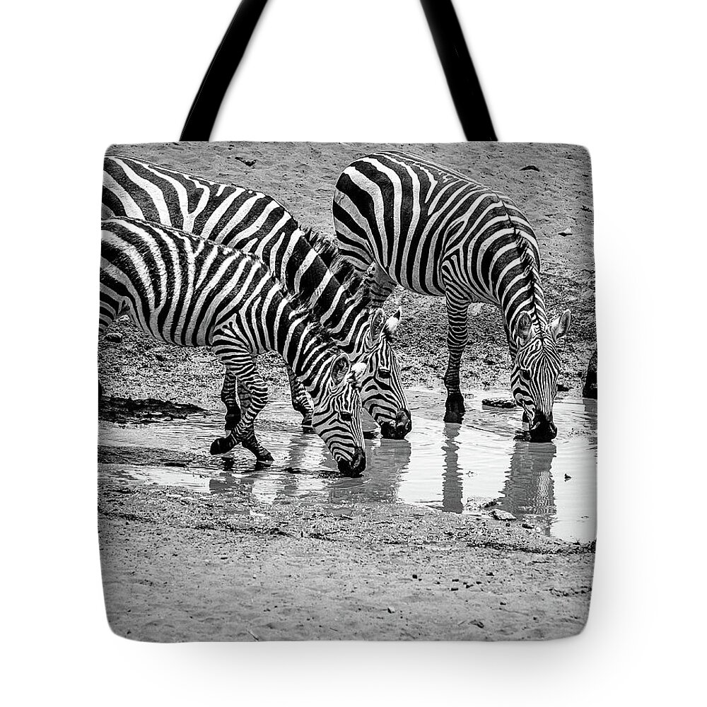 Zebras Tote Bag featuring the photograph Zebras at the Watering Hole #1 by Marion McCristall