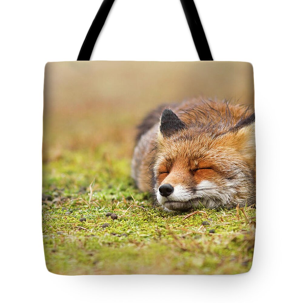 Fox Tote Bag featuring the photograph Zen Fox Series - Happy Fox is Happy II #1 by Roeselien Raimond