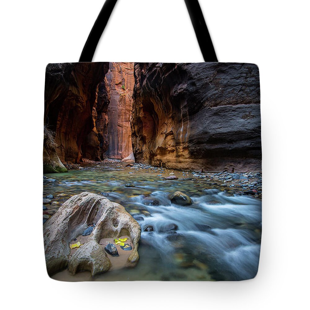 Utah Tote Bag featuring the photograph Zion Narrows by Wesley Aston