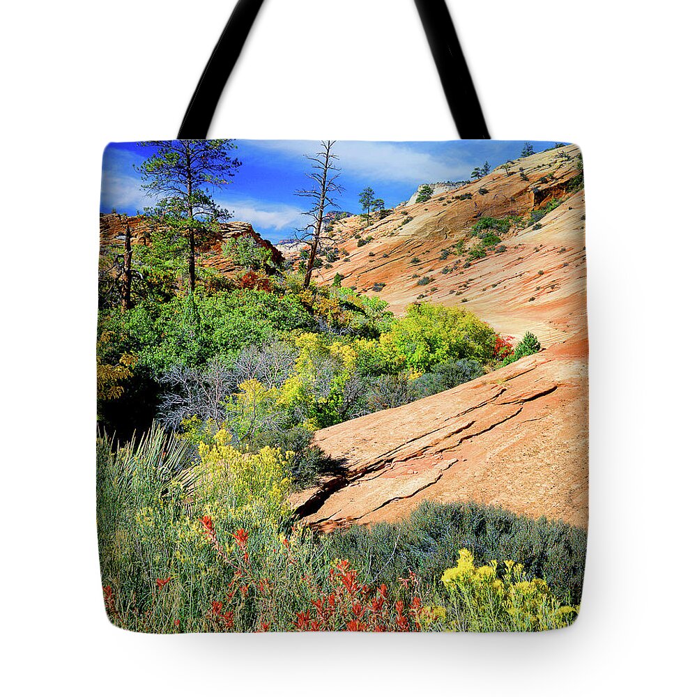 Zion National Park Tote Bag featuring the photograph Zion Slickrock #1 by Frank Houck