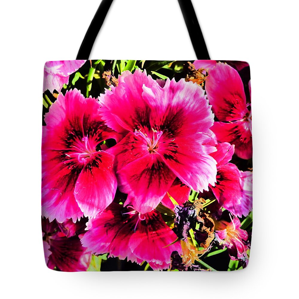Paul Stanner Tote Bag featuring the photograph Caravan Of Dreams #10 by Paul Stanner