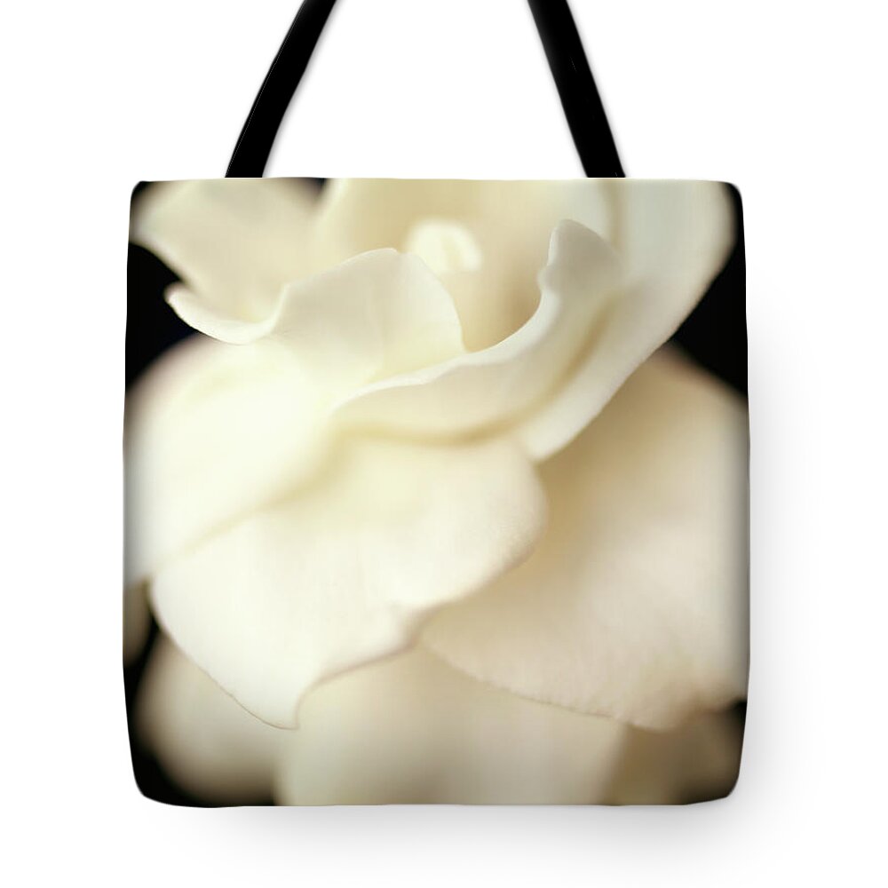 Flower Tote Bag featuring the photograph Gardenia by Anne Geddes