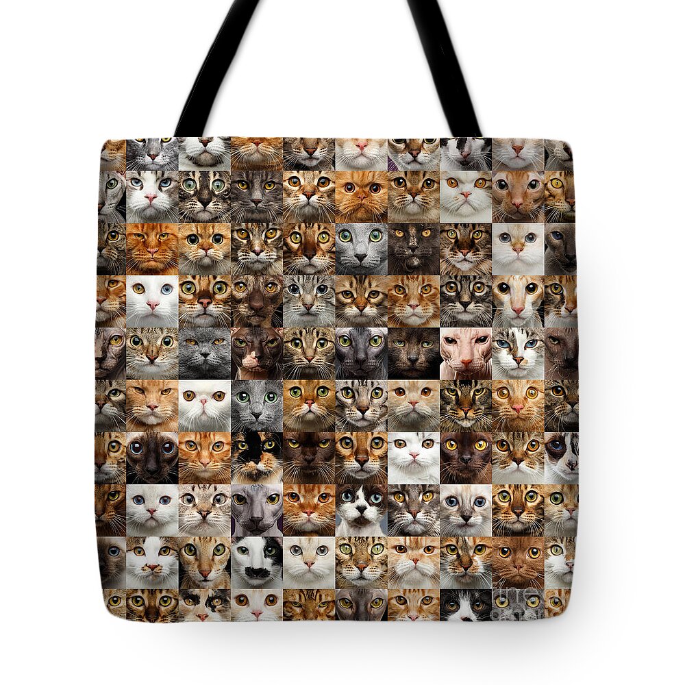 100 Tote Bag featuring the photograph 100 Cat faces by Sergey Taran