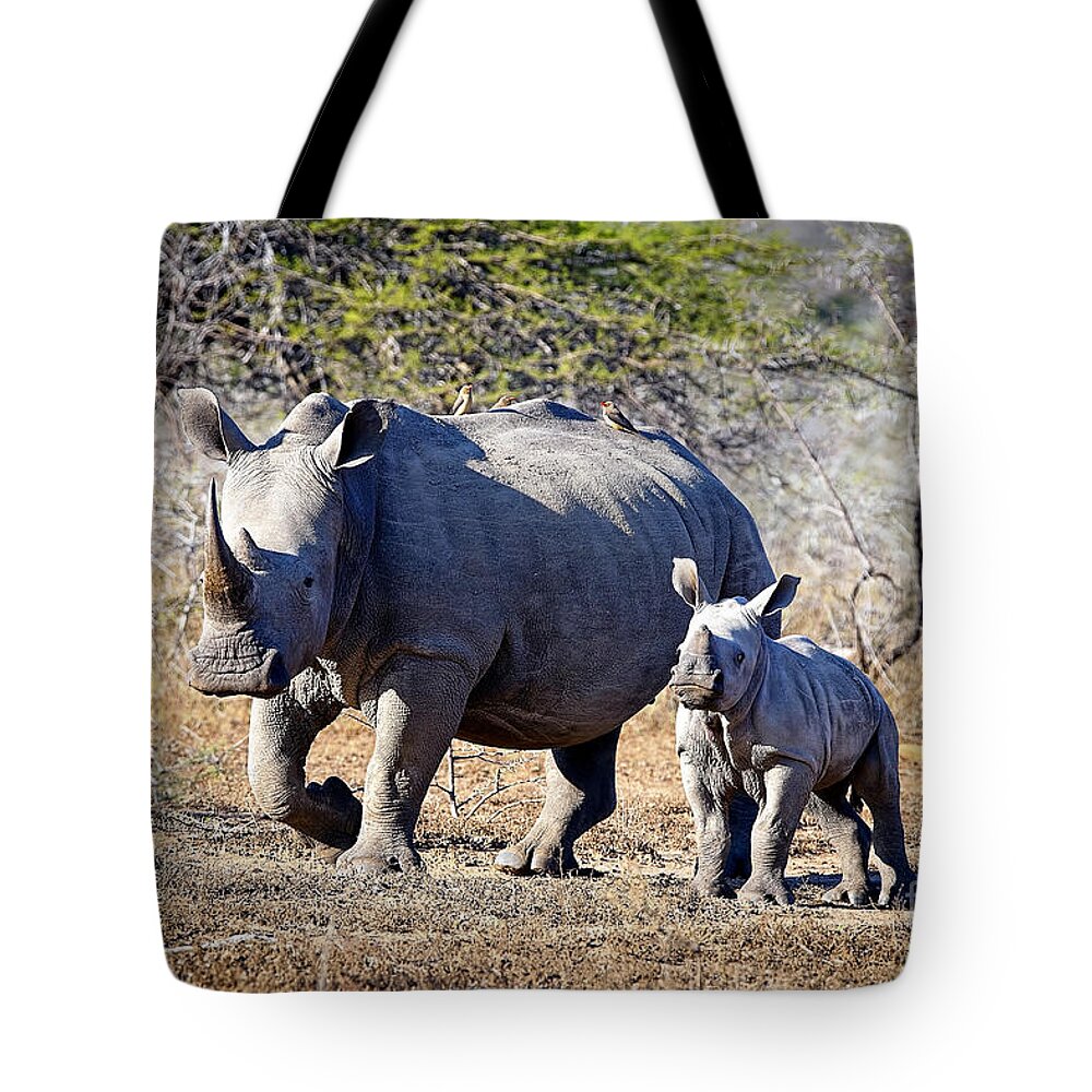 South Tote Bag featuring the photograph 1033 Southern White Rhinoceros and Calf by Steve Sturgill