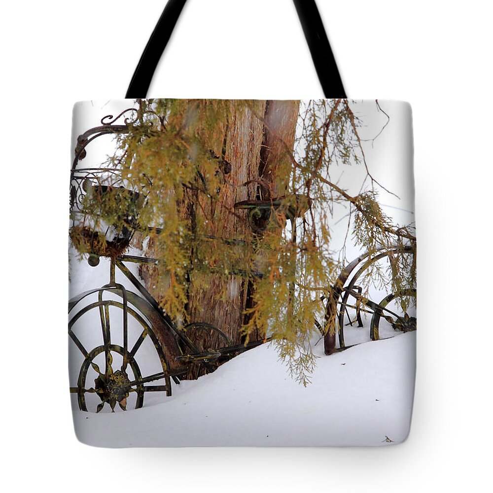 Pillow Gallery Tote Bag featuring the photograph PIllow Gallery #106 by PJQandFriends Photography