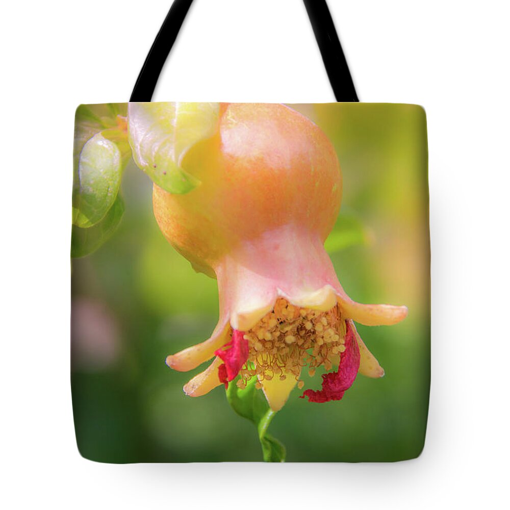 Fruit Tote Bag featuring the photograph 10914 Pomegranate by Pamela Williams