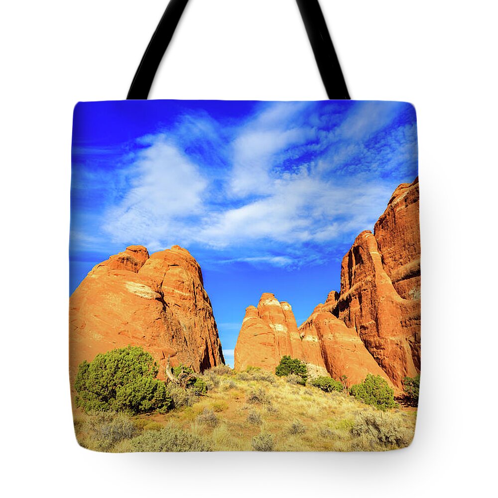 Arches National Park Tote Bag featuring the photograph Arches National Park #11 by Raul Rodriguez