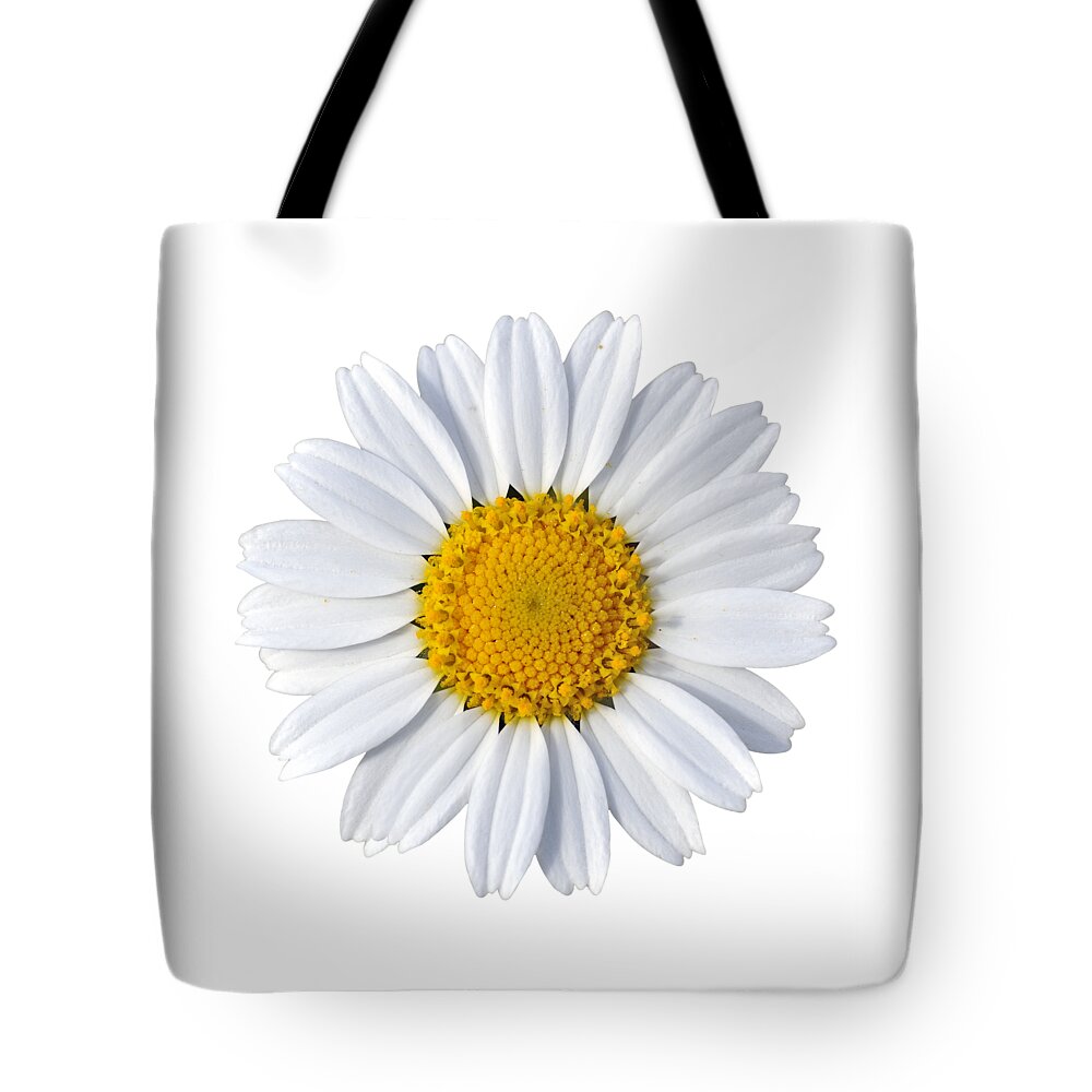 Daisy; Anthemis Chia; White; Yellow; Flower; Wild; Plant; Spring; Daisies; Flowers; Springtime; Nature; Flora; Bloom; Blooming; Blossom; Blossoming; Color; Colorful; Earth; Environment; Macro; Close-up; Detail; Details; Esthetic; Esthetics; Artistic; Beautiful; Beauty Tote Bag featuring the photograph Daisy #11 by George Atsametakis