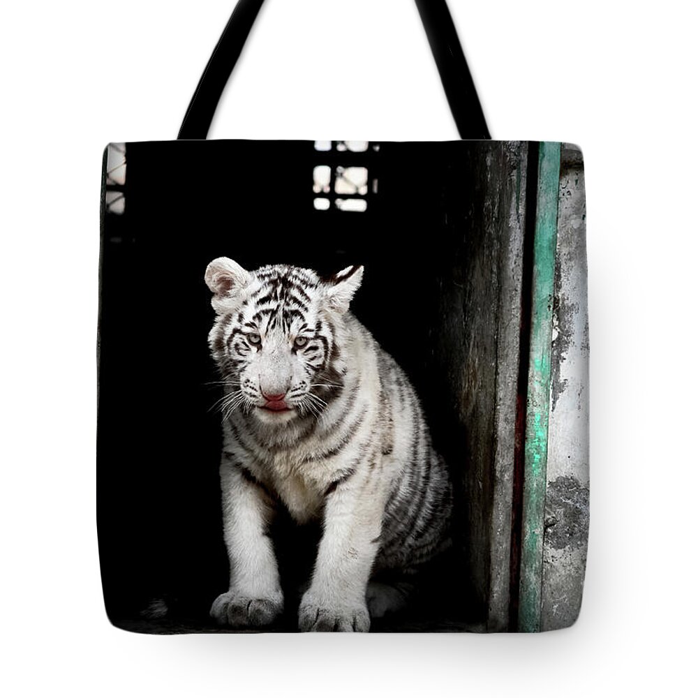 China Tote Bag featuring the photograph Discovering China #12 by Marisol VB