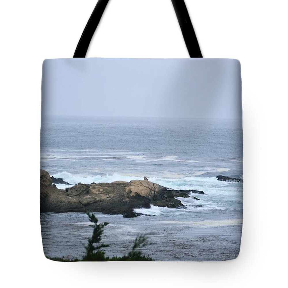 Landscape Tote Bag featuring the photograph On The Rocks #16 by Marian Jenkins