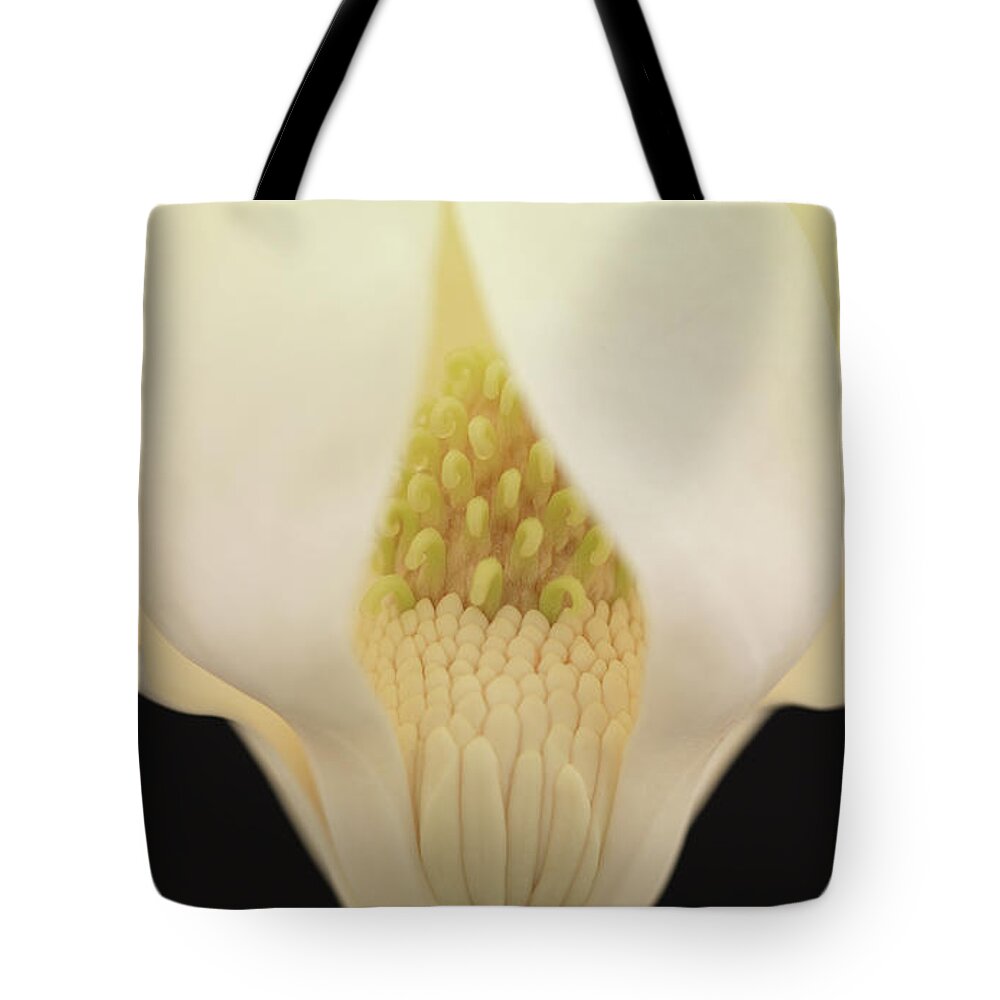 Nature Tote Bag featuring the photograph Magnolia by Anne Geddes