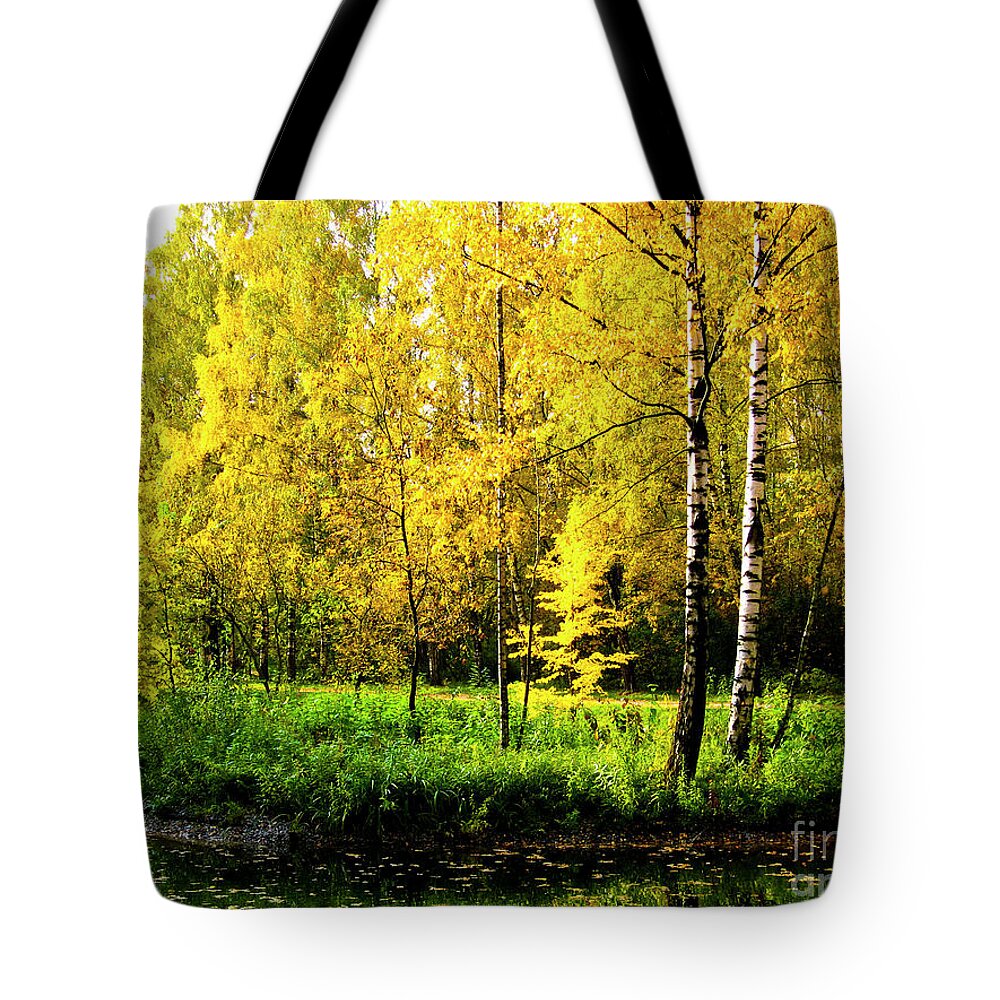 Autumn Tote Bag featuring the photograph Autumn landscape #13 by Irina Afonskaya
