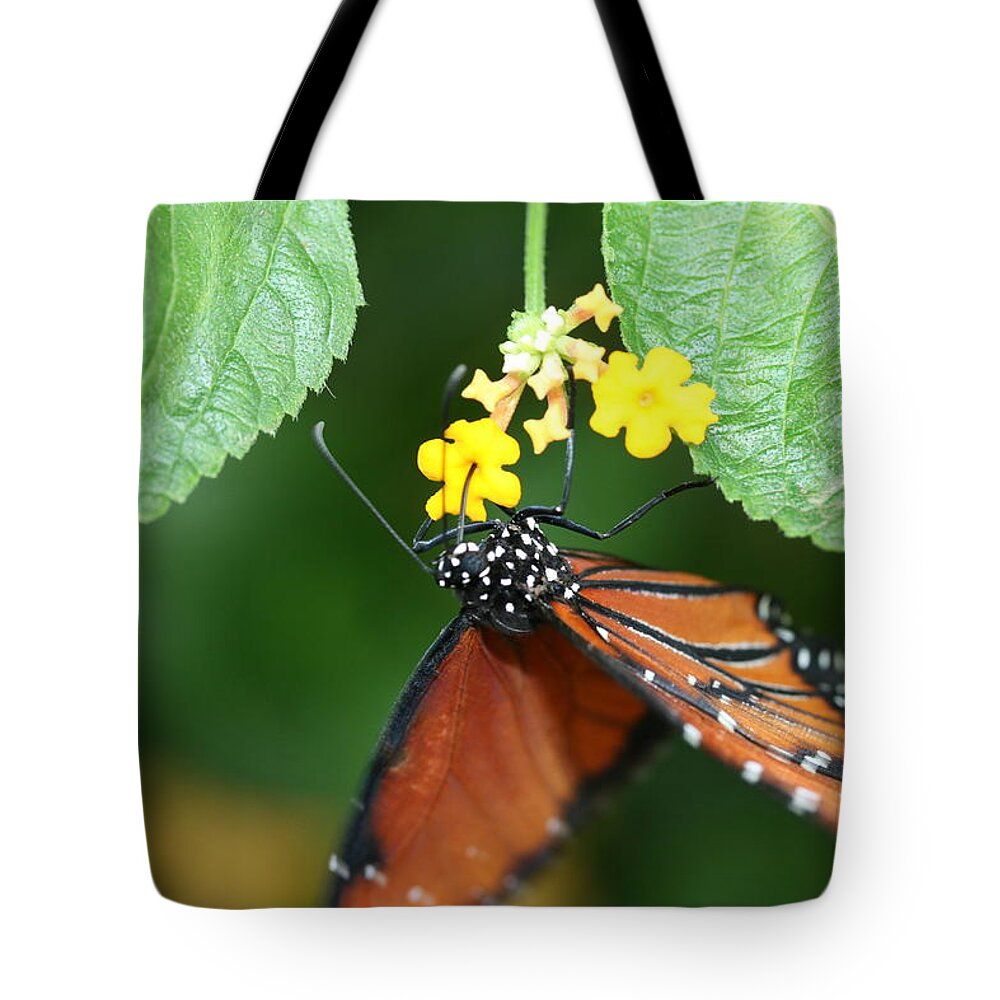 Butterfly Tote Bag featuring the photograph Butterfly #13 by MGhany