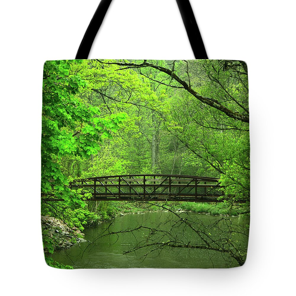 Jacobsburg State Park Pa Tote Bag featuring the photograph Jacobsburg State Park PA by Raymond Salani III